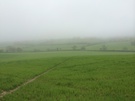 misty-field.jpg