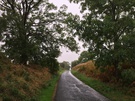wark-westcommon.jpg
