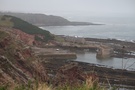 cove.jpg