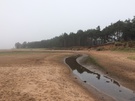hedderwick-sands.jpg