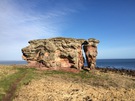 buddo-rock.jpg
