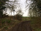 green-lane.jpg