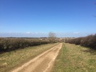 roman-road.jpg