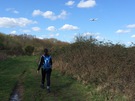 hounslow-heath.jpg