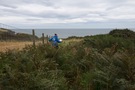 overgrown-path.jpg