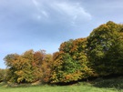 autumn-colours.jpg