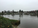 weybridge-ferry.jpg