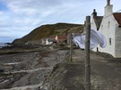 crovie.jpg
