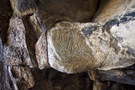 carving-flower.jpg