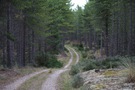 culbin-track.jpg