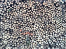 wooden-stakes.jpg