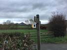 buttington-fingerpost.jpg