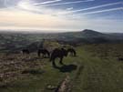 hatterall-ridge.jpg