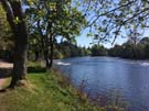 river-ness.jpg