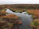 ickornshaw-moor.jpg
