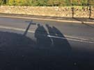 middleton-shadows.jpg