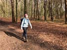 bright-woodland.jpg