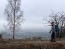 cheltenham-view.jpg