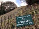 coopers-hill.jpg