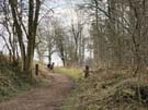 blackdale-deer.jpg