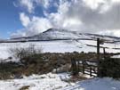 cold-moor.jpg