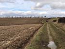 sancton-wold.jpg