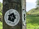 cuthbert-waymark.jpg