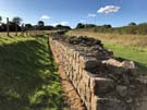 heddons-wall.jpg