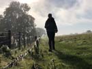 misty-morning.jpg
