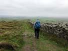 winshield-crags.jpg