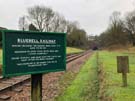 bluebell-crossing.jpg