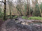 cuckfield-mud.jpg