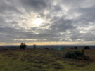 ashdown-forest.jpg