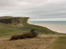 beachy-head.jpg