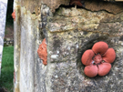 tomb-decorations.jpg
