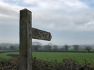 wealdway.jpg